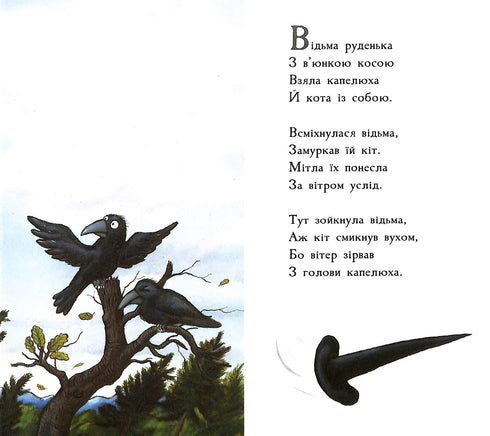 Місце на мітлі